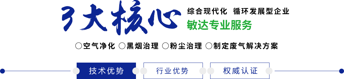 男人用大黑鸡巴操女人骚B免费看敏达环保科技（嘉兴）有限公司